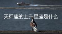 天秤座的上升星座是什么（上升星座是什么）