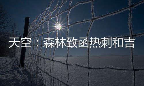 天空：森林致函熱刺和吉布斯