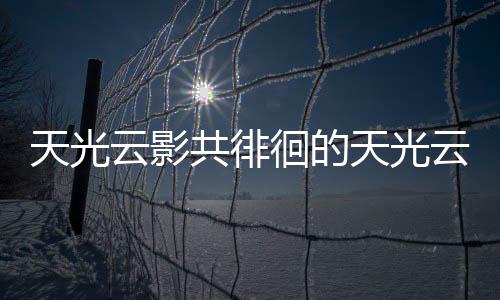 天光云影共徘徊的天光云影是什么意思（天光云影）