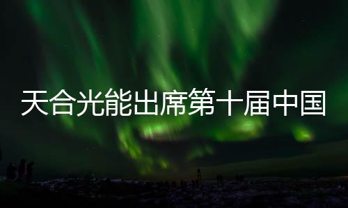 天合光能出席第十屆中國能源發展與創新大會