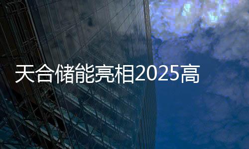 天合儲能亮相2025高工儲能產業峰會