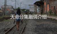 天命分集劇情介紹