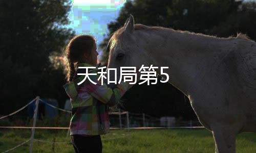 天和局第5