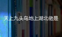 天上九頭鳥地上湖北佬是什么意思?有什么典故嗎?