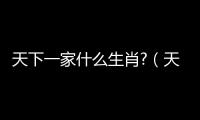 天下一家什么生肖?（天下一家打一生肖）