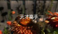 天才高手