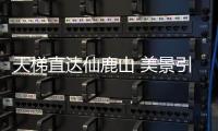 天梯直達仙鹿山 美景引來四方客