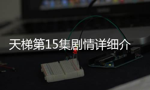 天梯第15集劇情詳細(xì)介紹