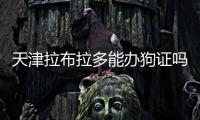 天津拉布拉多能辦狗證嗎(北京拉布拉多可以辦狗證嗎)