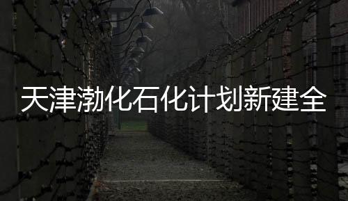 天津渤化石化計劃新建全球最大丙烷脫氫裝置