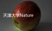 天津大學(xué)Nature Energy：電解液去耦合獲得穩(wěn)定、高能可充電水系Zn