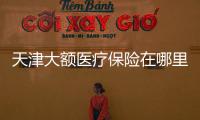 天津大額醫(yī)療保險在哪里查詢