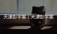 天津彭宇案（天津彭宇案）