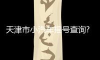 天津市小汽車搖號查詢?（天津小汽車搖號申請查詢）