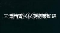 天津西青杉杉奧特萊斯綜合體項目開工 預計2023年投入運營