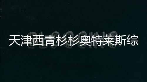 天津西青杉杉奧特萊斯綜合體項目開工 預計2023年投入運營