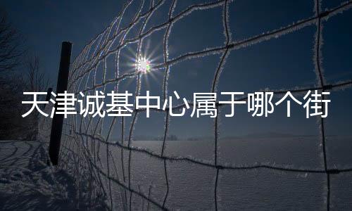 天津誠基中心屬于哪個街道（天津誠基中心）