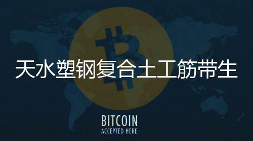 天水塑鋼復合土工筋帶生產廠家