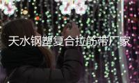 天水鋼塑復合拉筋帶廠家采購供應