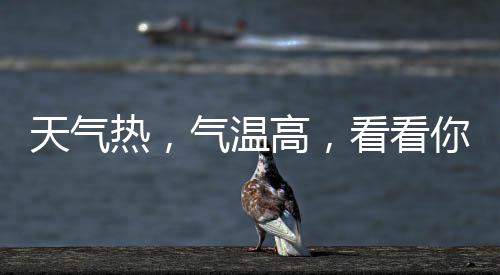 天氣熱，氣溫高，看看你家斷橋窗的隔熱條有沒有選對！