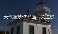天氣端炒作降溫，關(guān)注棕櫚油短空機(jī)會