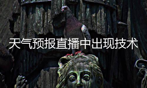 天氣預報直播中出現技術故障 引女主播哈哈大笑