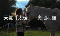 天氣「太暖」　奧地利被迫取消滑雪賽事