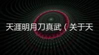 天涯明月刀真武（關(guān)于天涯明月刀真武的基本情況說(shuō)明介紹）