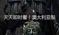天天即時(shí)看！澳大利亞鬃獅蜥腦圖譜揭示大腦進(jìn)化的秘密
