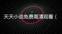 天天小說免費高清觀看（天天中文免費小說）