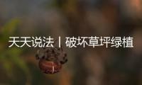 天天說法丨破壞草坪綠植 應如何處罰？
