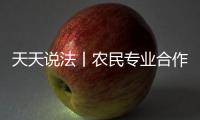 天天說法丨農民專業合作社的理事長可以將本社資金出借給他人嗎？