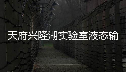 天府興隆湖實驗室液態輸入系統中標結果公告