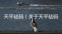 天平砝碼（關(guān)于天平砝碼的基本情況說明介紹）