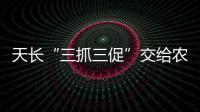 天長“三抓三促”交給農(nóng)民一本放心賬_