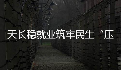 天長穩就業筑牢民生“壓艙石”_