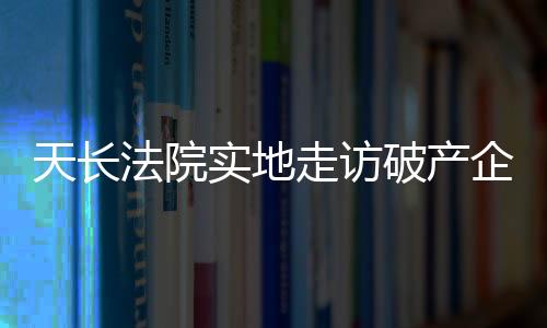 天長法院實地走訪破產(chǎn)企業(yè)共商重生之路_