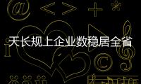 天長(zhǎng)規(guī)上企業(yè)數(shù)穩(wěn)居全省縣域榜首_