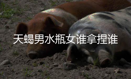 天蝎男水瓶女誰拿捏誰