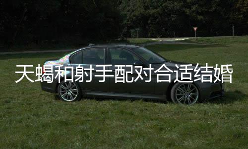 天蝎和射手配對合適結(jié)婚嗎 天蝎和射手配對合適嗎
