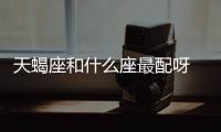 天蝎座和什么座最配呀 天蝎座和什么座最配cp