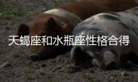 天蝎座和水瓶座性格合得來嗎 天蝎座的和水瓶座的合不合的來