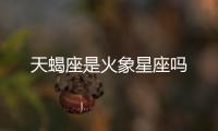 天蝎座是火象星座嗎