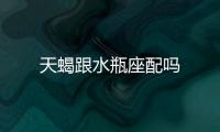 天蝎跟水瓶座配嗎