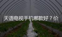 天語電視手機哪款好？價格詳情應該怎樣樣