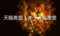 天賜恩寵（關于天賜恩寵的基本情況說明介紹）