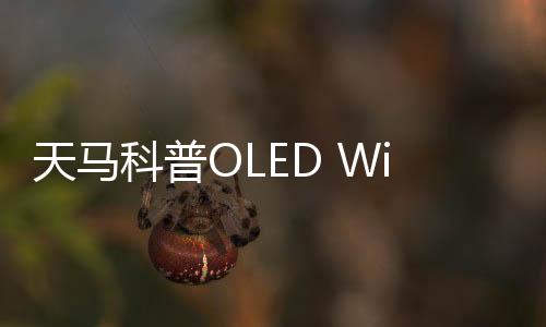 天馬科普OLED Windmill排布：神似風車 低功耗、字體更清晰