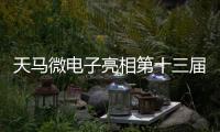 天馬微電子亮相第十三屆中國西部電子信息博覽會