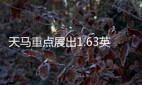 天馬重點展出1.63英寸超高PPI主動式Micro