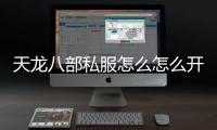 天龍八部私服怎么怎么開(kāi)的,自己開(kāi)天龍八部私服要怎么弄？